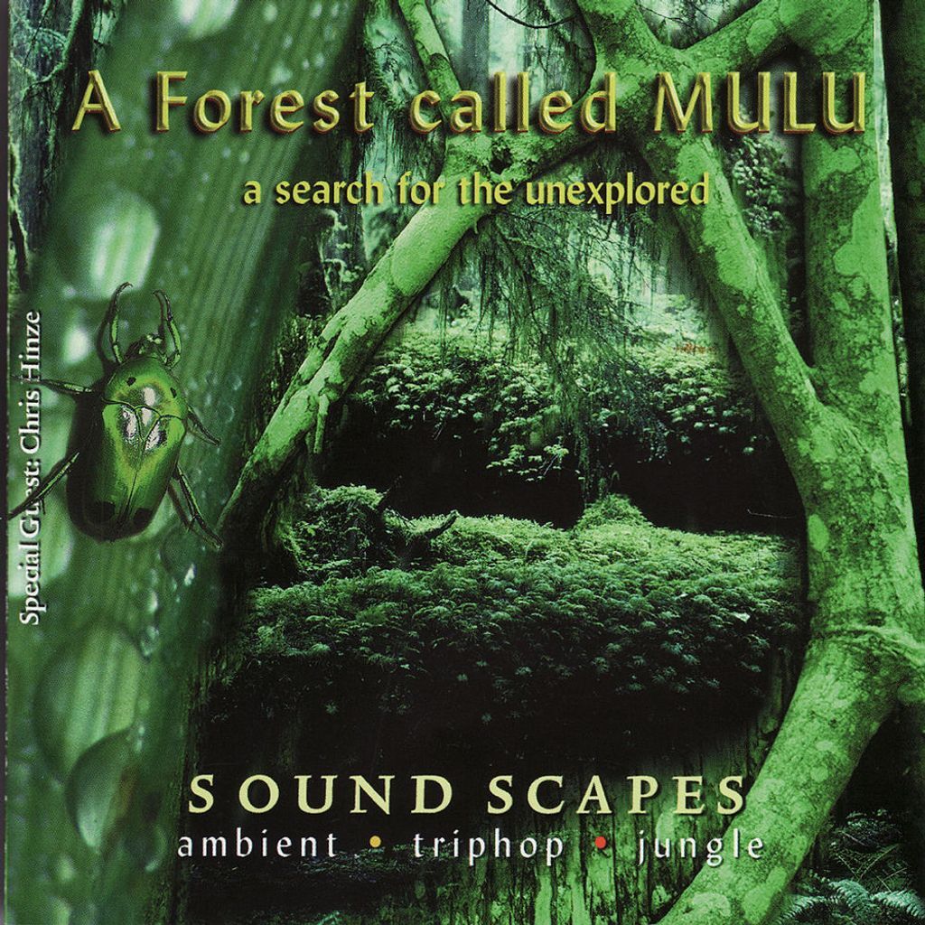 A Search for the Unexplored