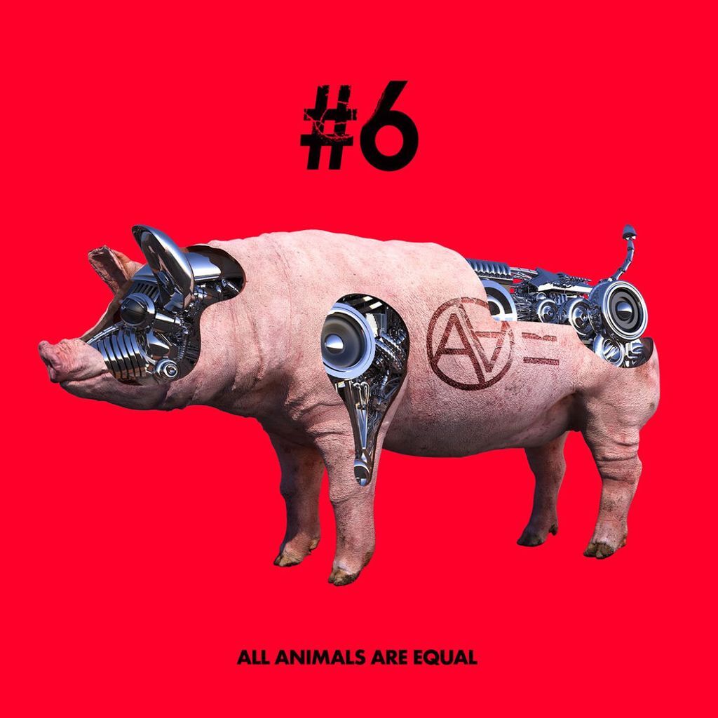 #6