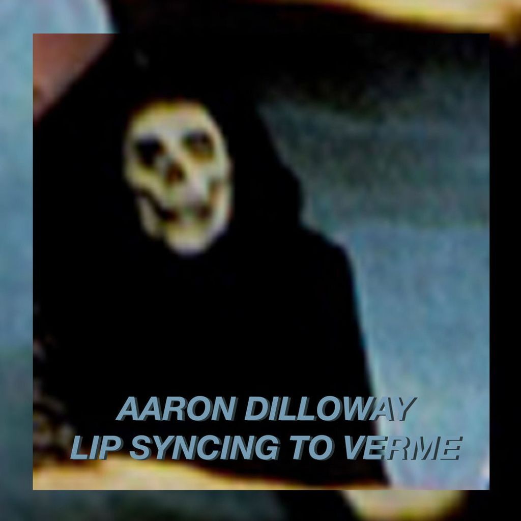 Lip Syncing To Verme