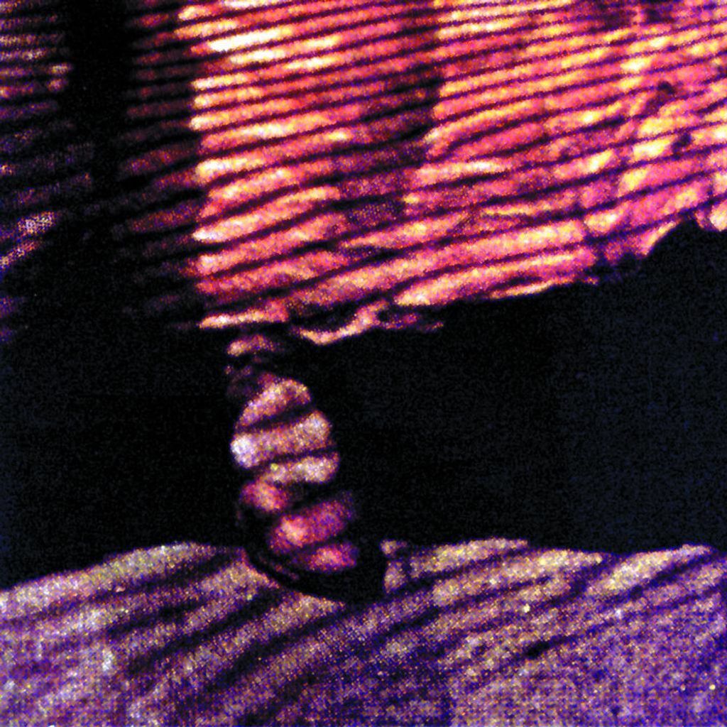 Red Dust and Spanish Lace