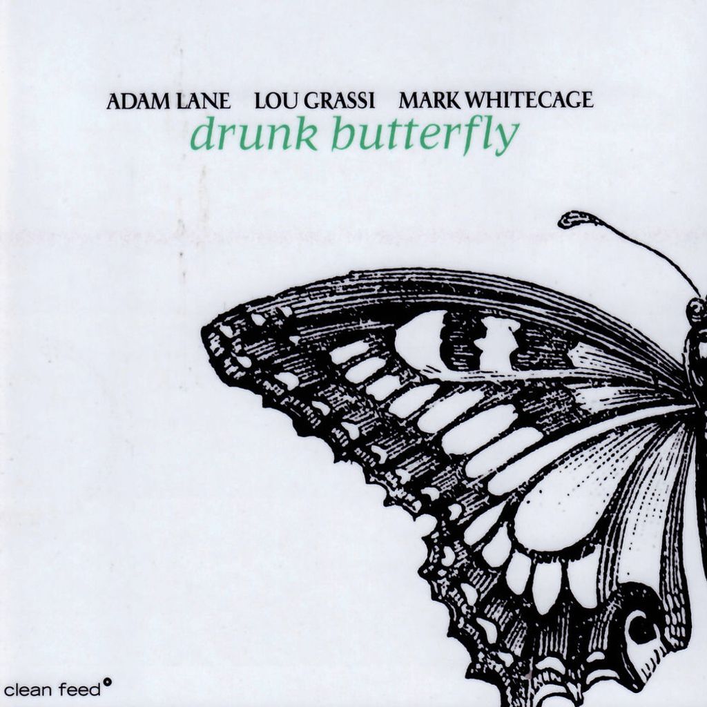 Drunk Butterfly