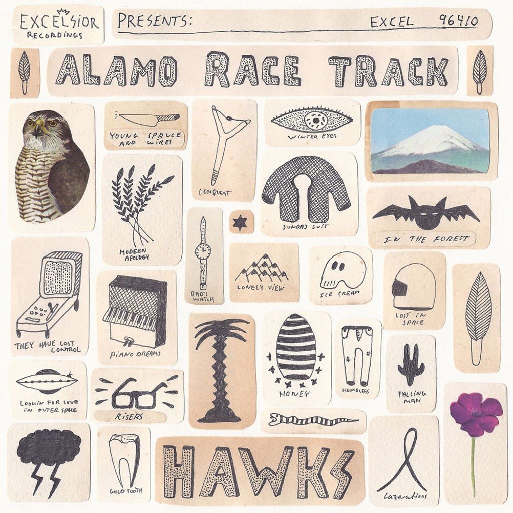 Hawks