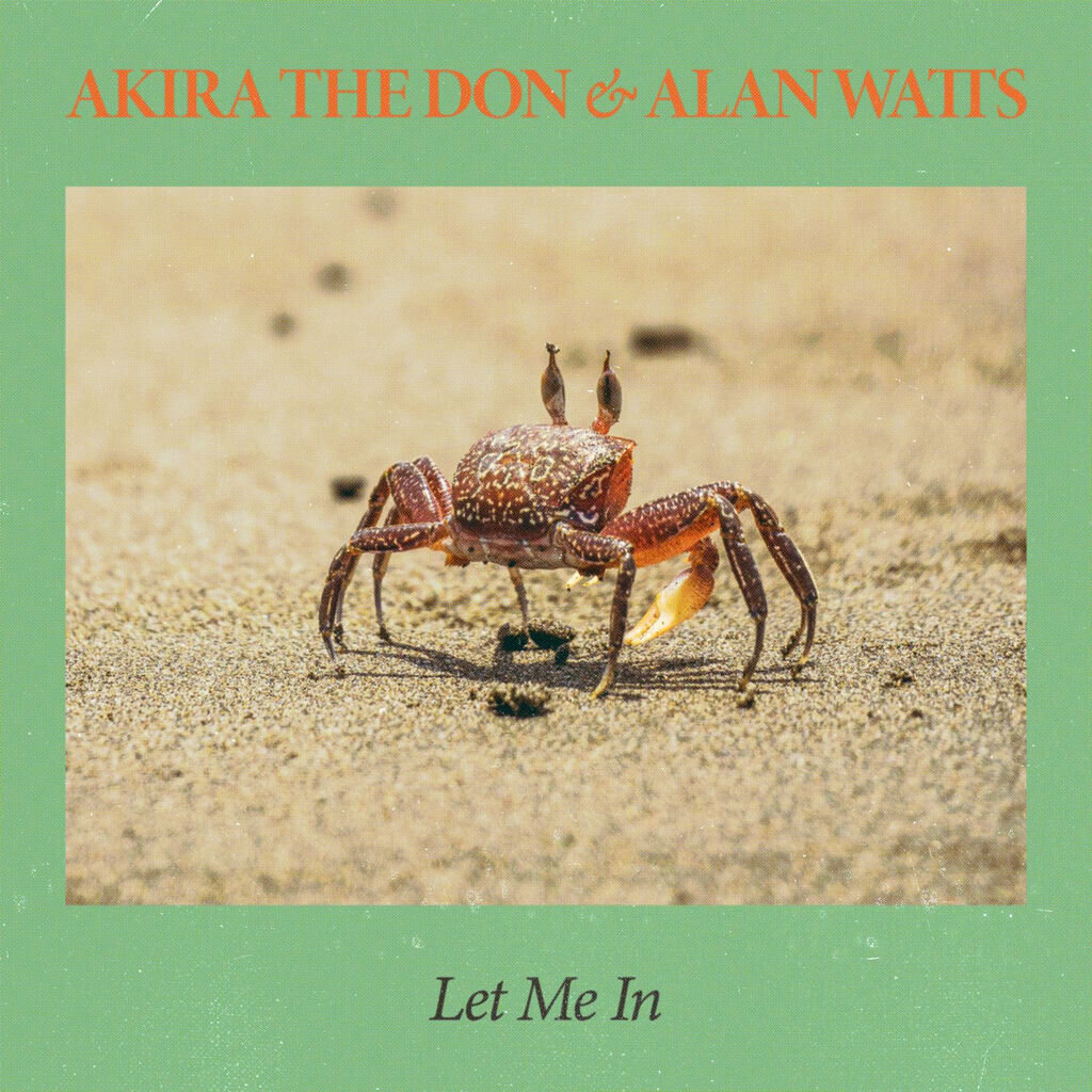 LET ME IN