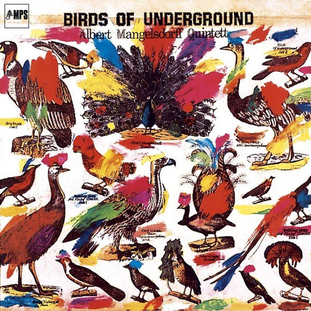 Birds of Underground