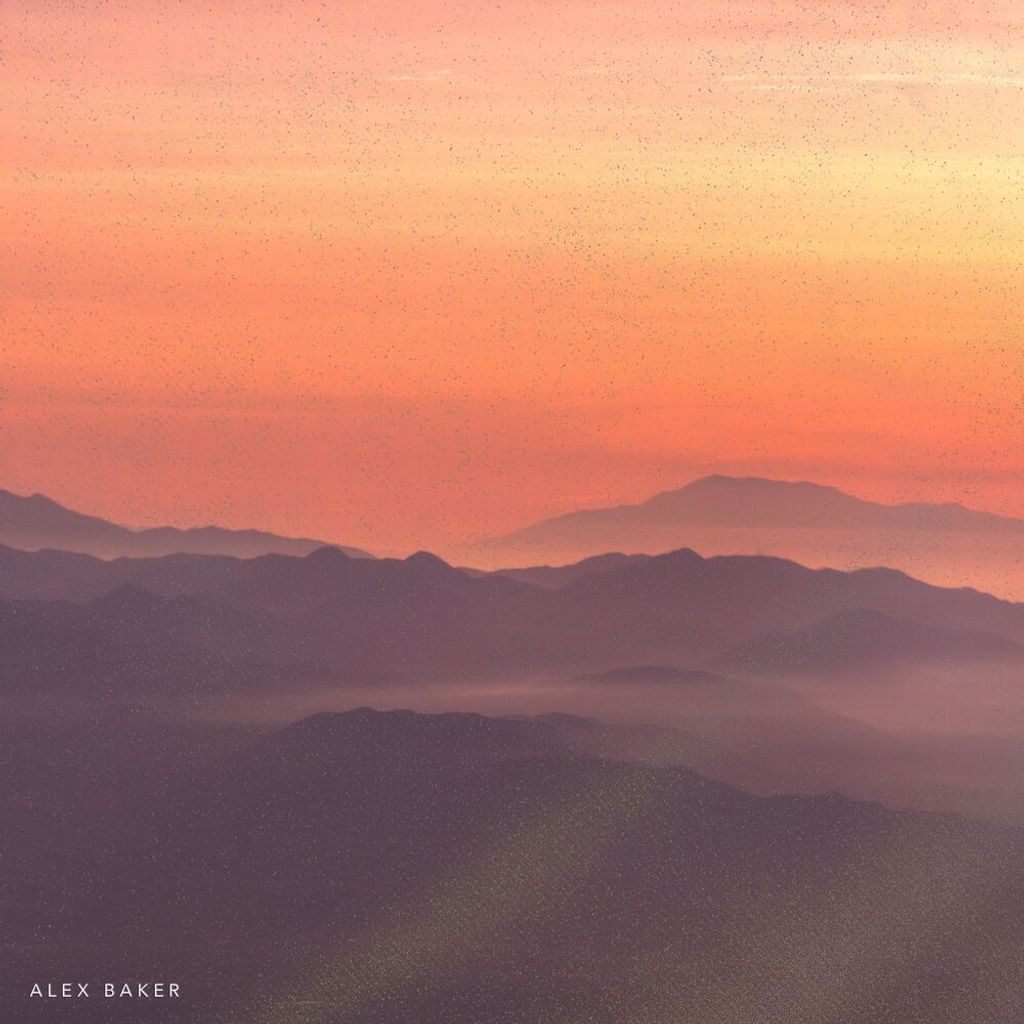 Soft Focus