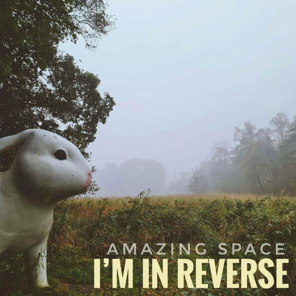 I'm in Reverse
