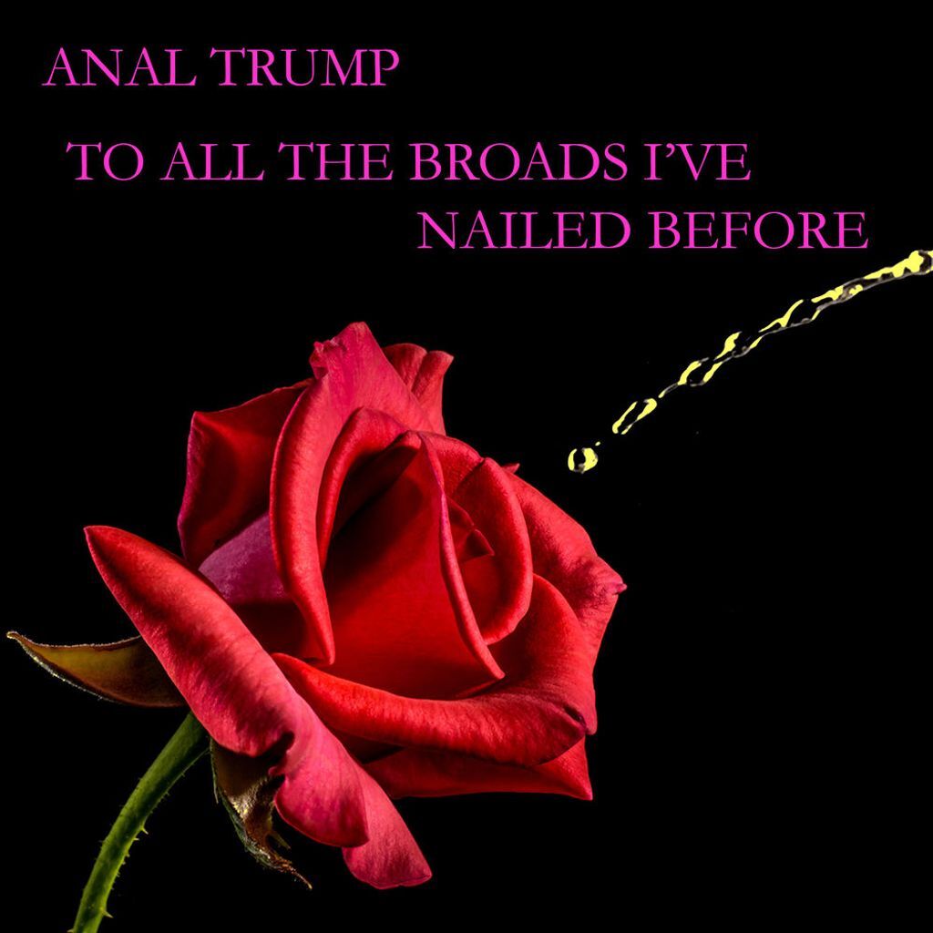 To All the Broads I’ve Nailed Before