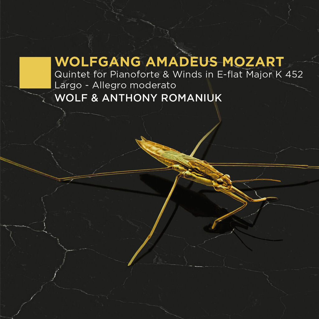 Quintet for Piano and Winds in E-Flat Major, K 452: I. Largo - Allegro moderato