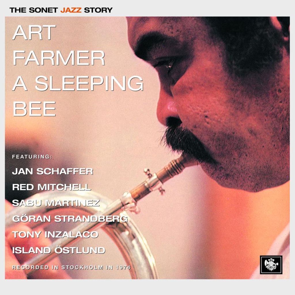 A Sleeping Bee