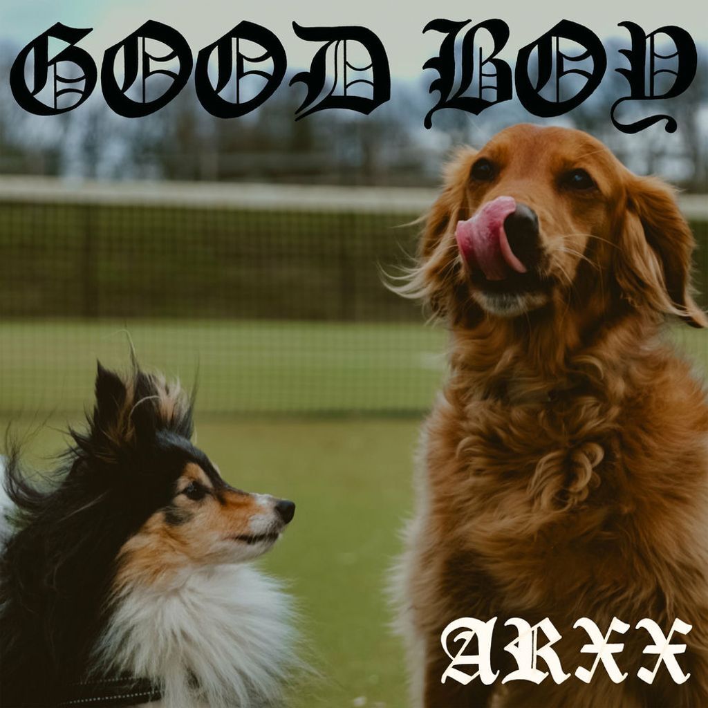 Good Boy