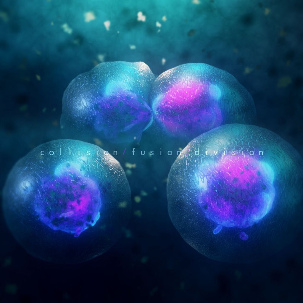 collision/fusion/division