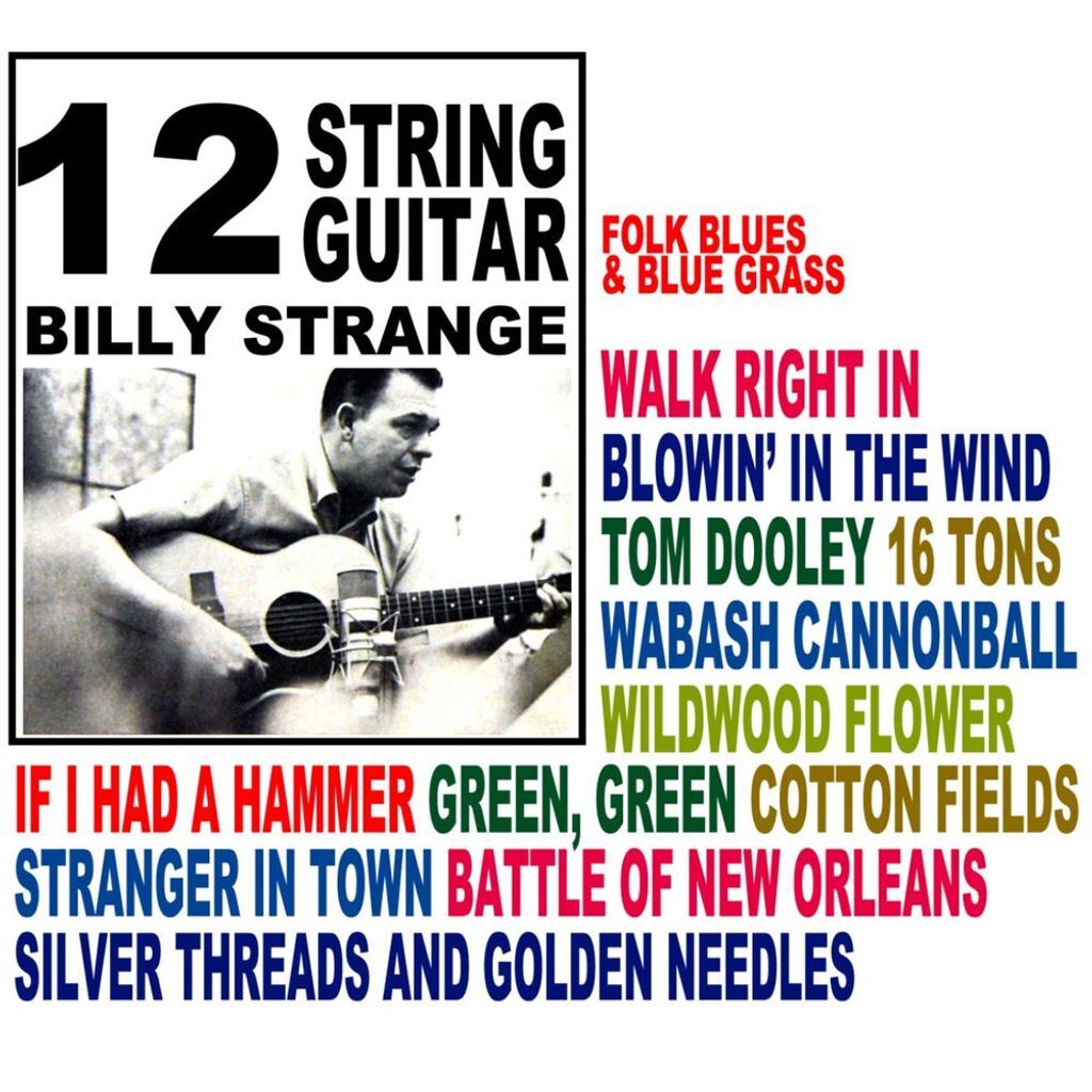 12 String Guitar