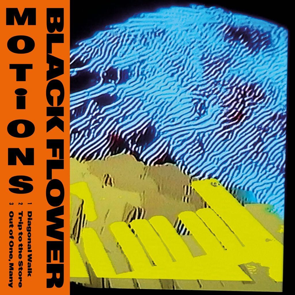 Motions