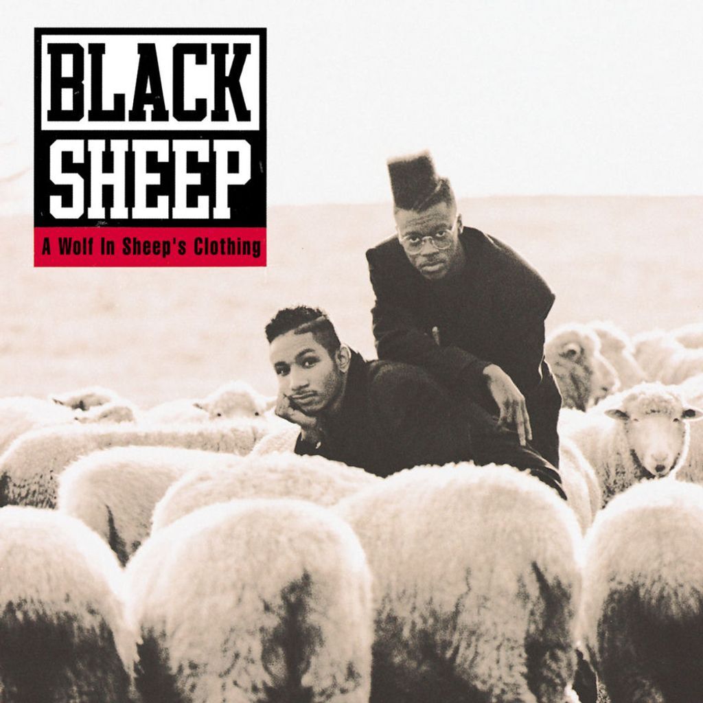 A Wolf in Sheep’s Clothing