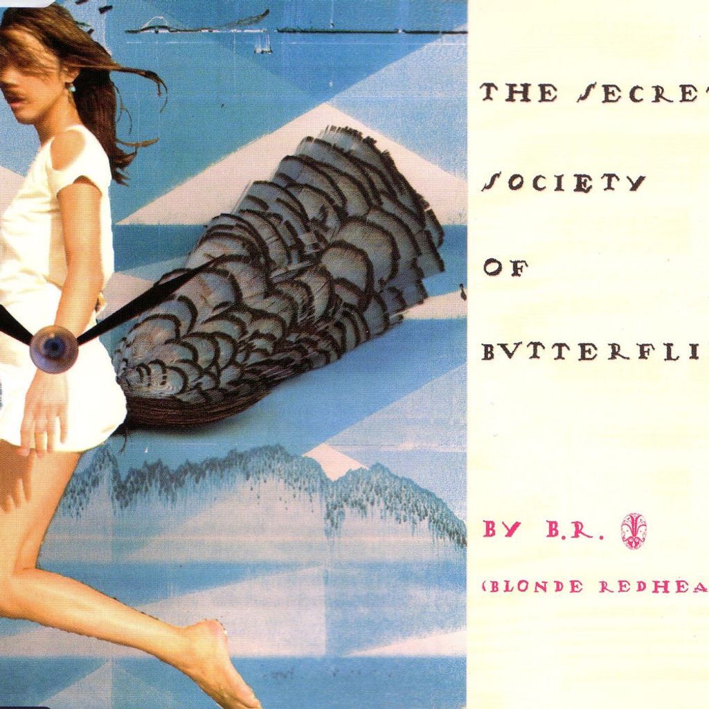 The Secret Society of Butterflies