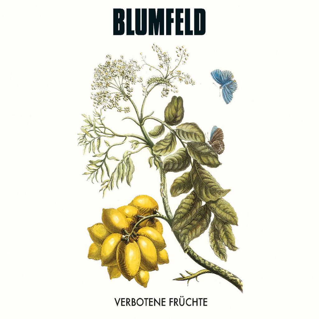 Verbotene Früchte