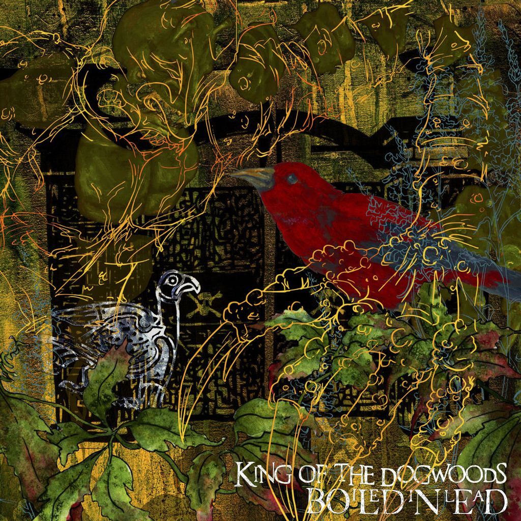 King of the Dogwoods
