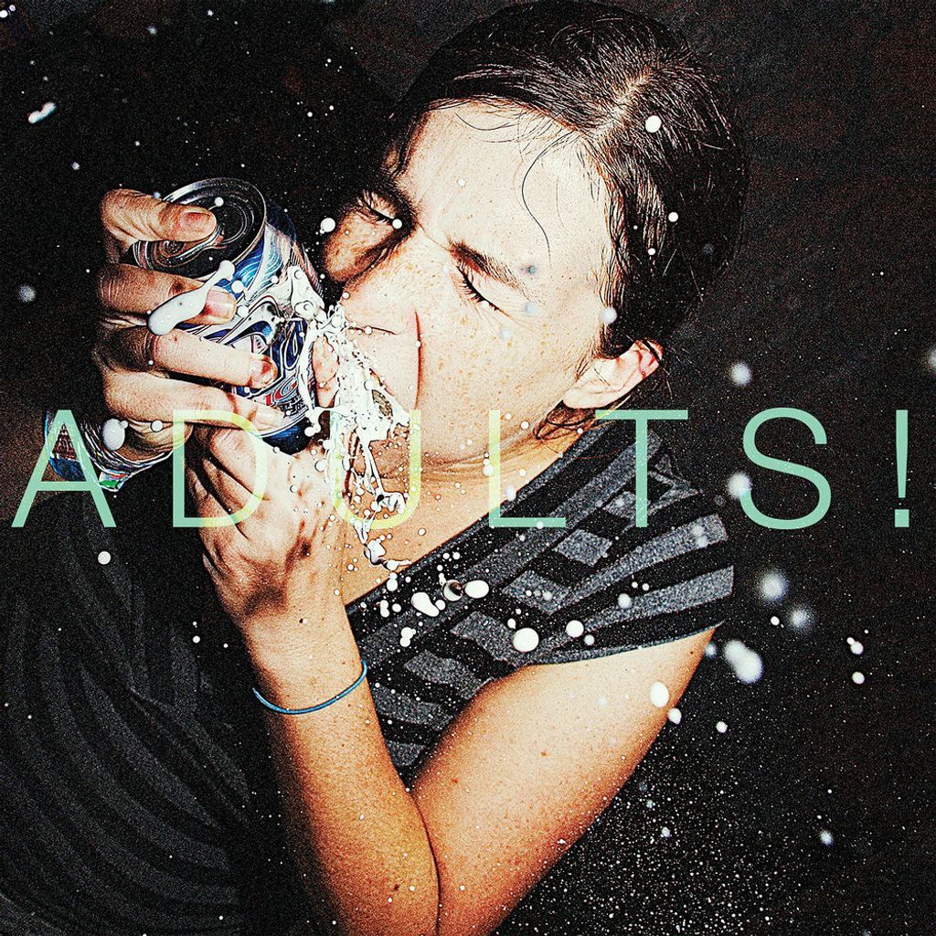 Adults!!!: Smart!!! Shithammered!!! And Excited By Nothing!!!!!!!