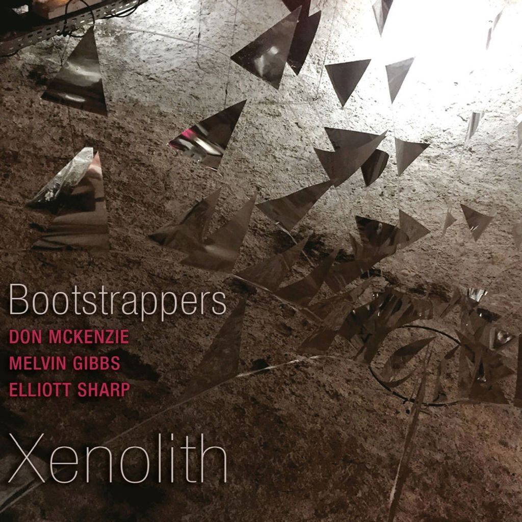 Xenolith