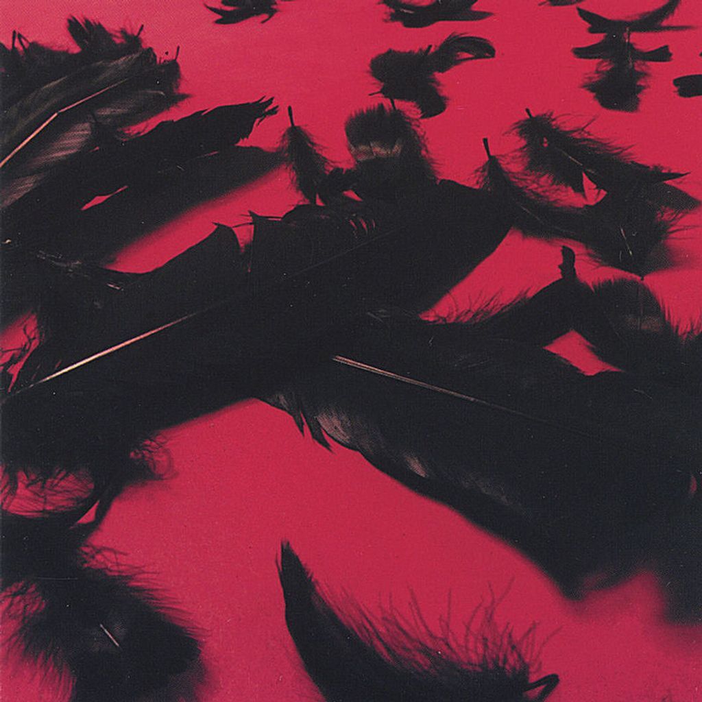 Black Feather Wings