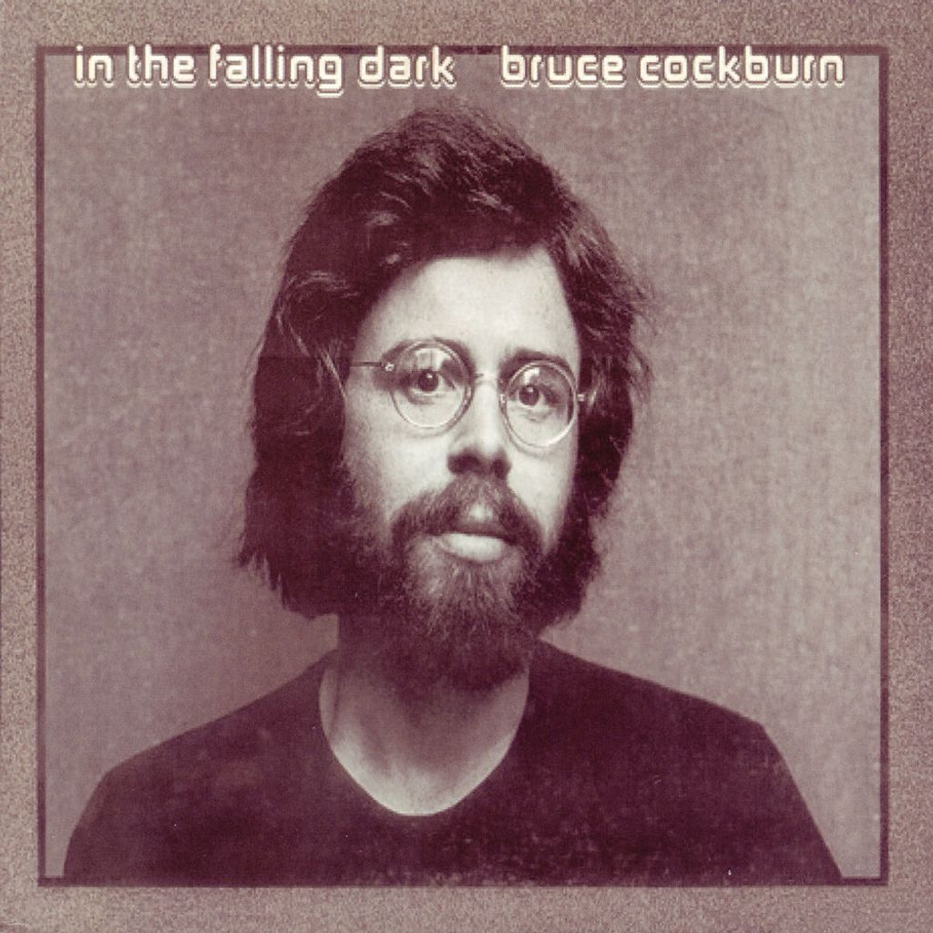 In the Falling Dark
