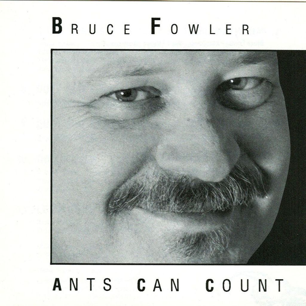Ants Can Count