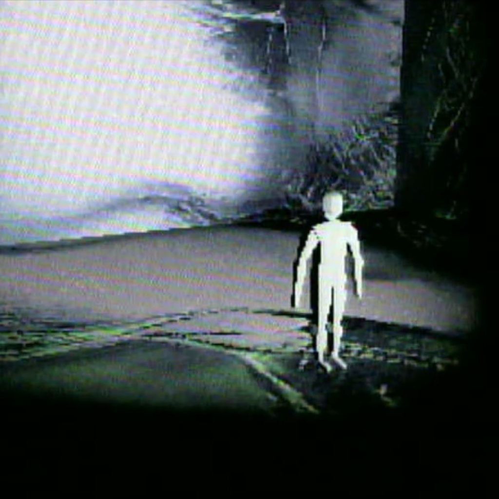 neverform