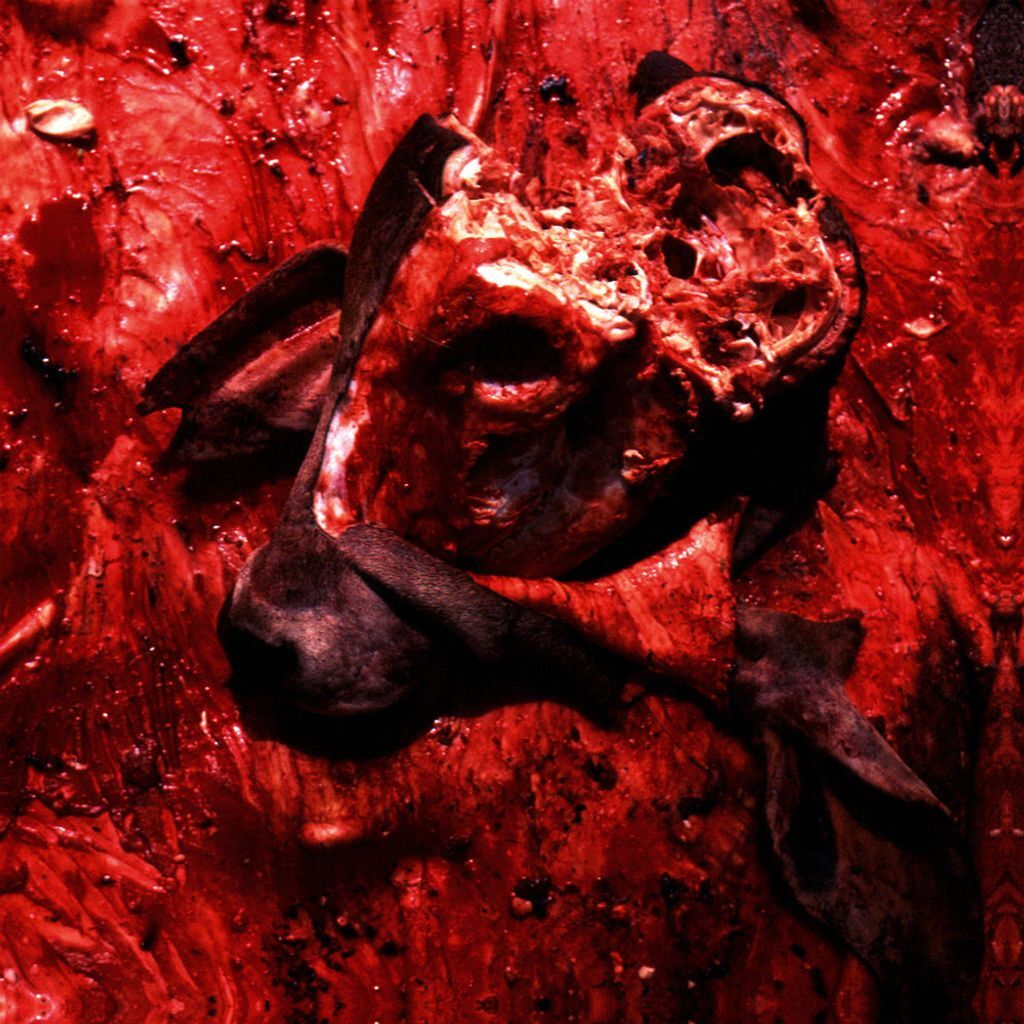Human Jerky