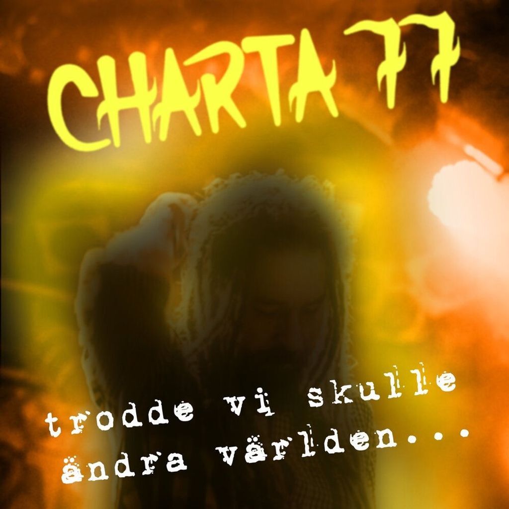Trodde vi skulle ändra världen …