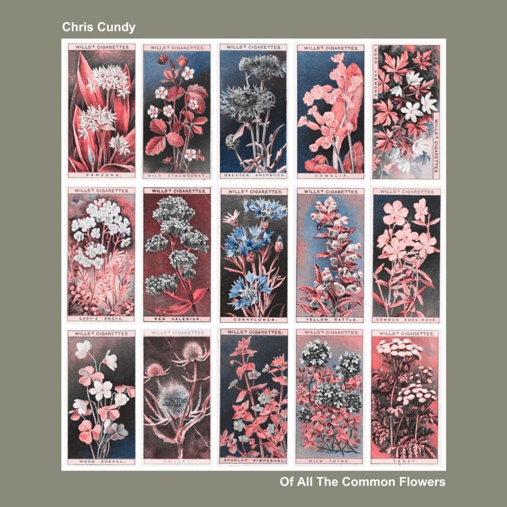 Of All The Common Flowers