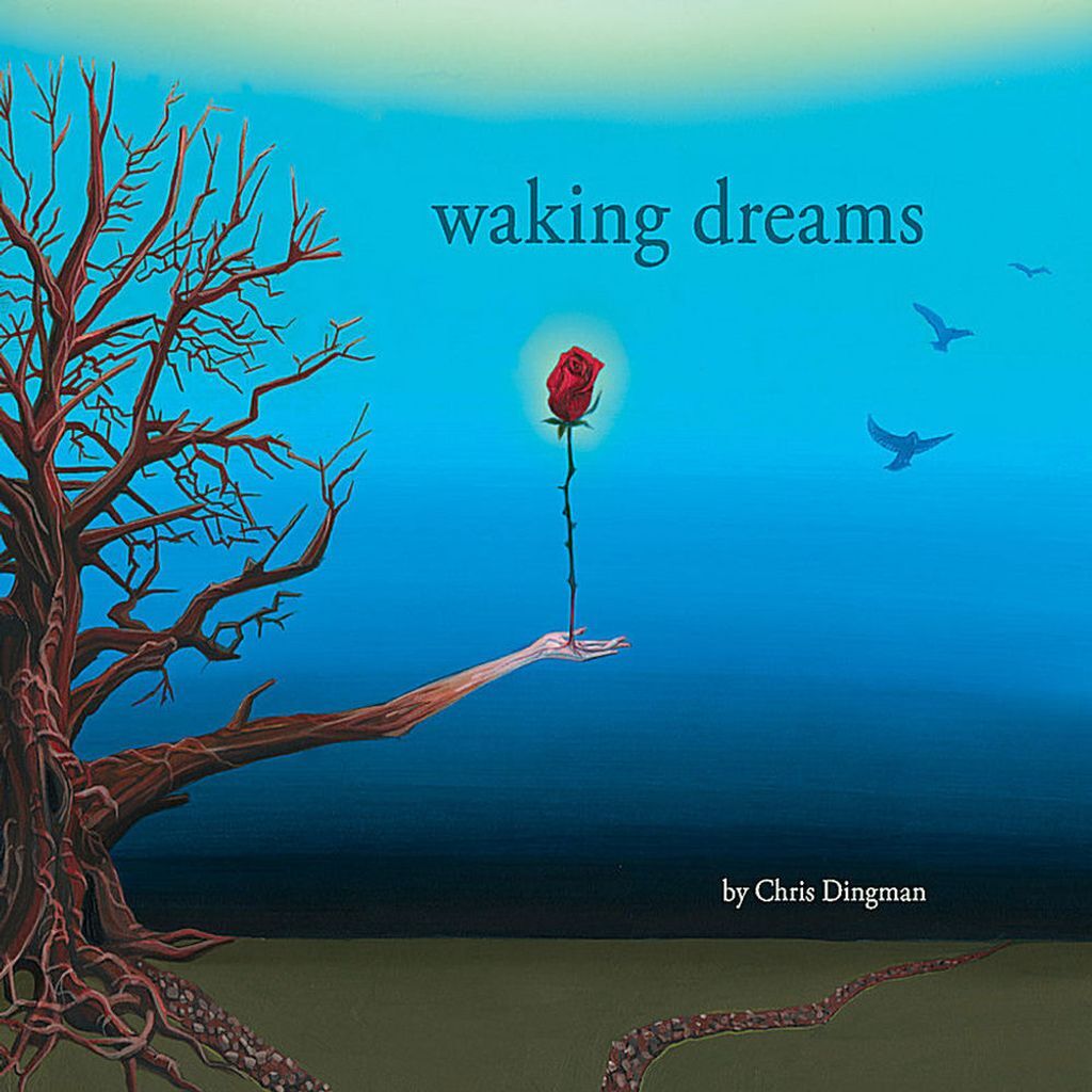 Waking Dreams