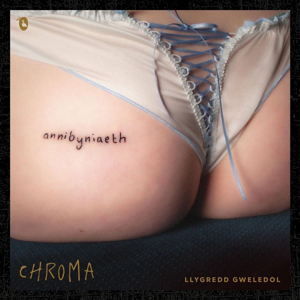 Llygredd Gweledol