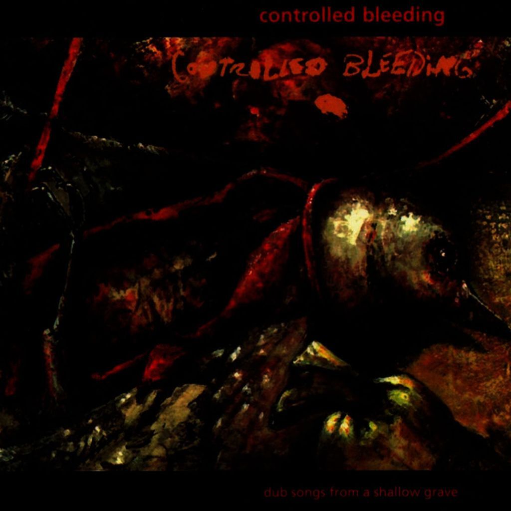 Dub Songs From a Shallow Grave