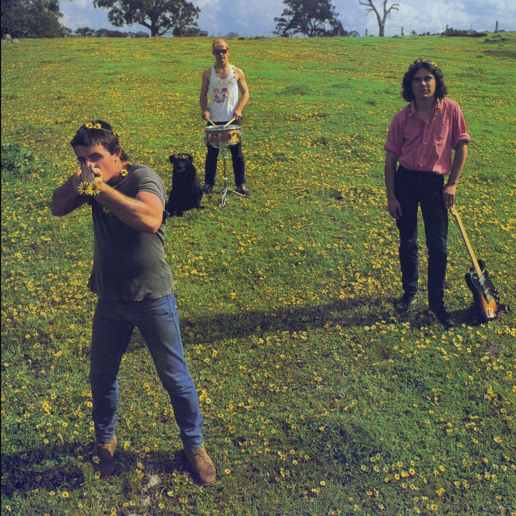 Down on the Farm