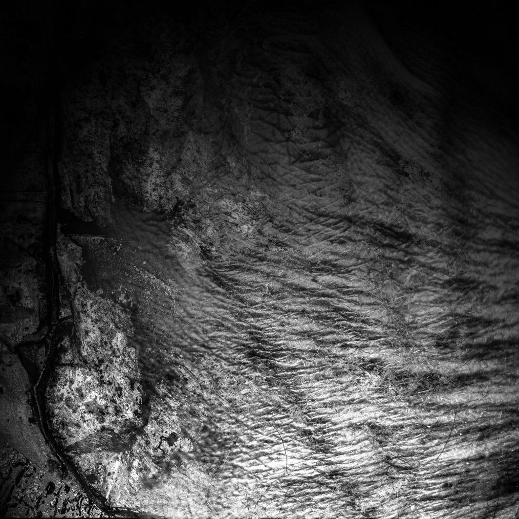 Field of Skin