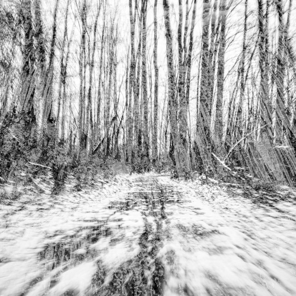 Frozen Ghosts