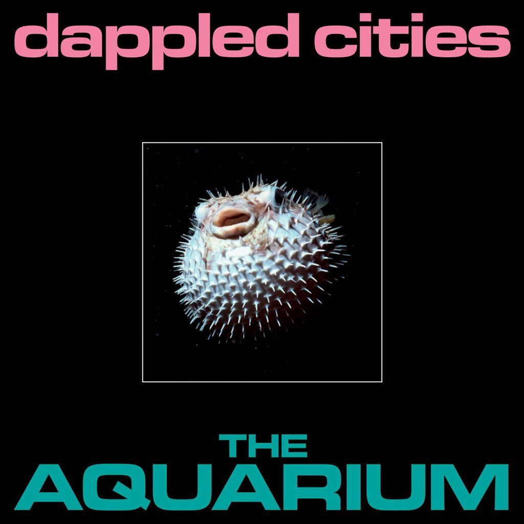 The Aquarium