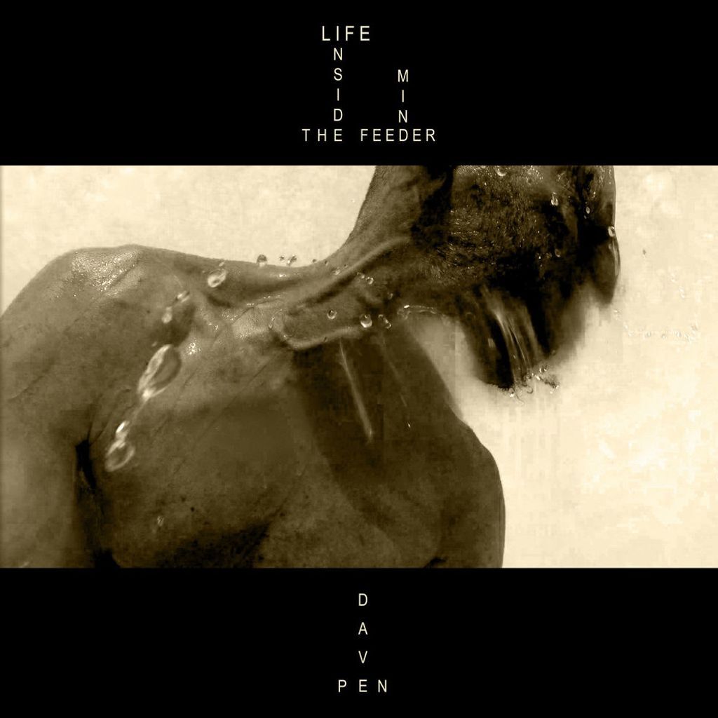 Life Inside the Feeder Mind