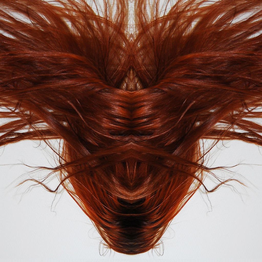 A Collection of Hair