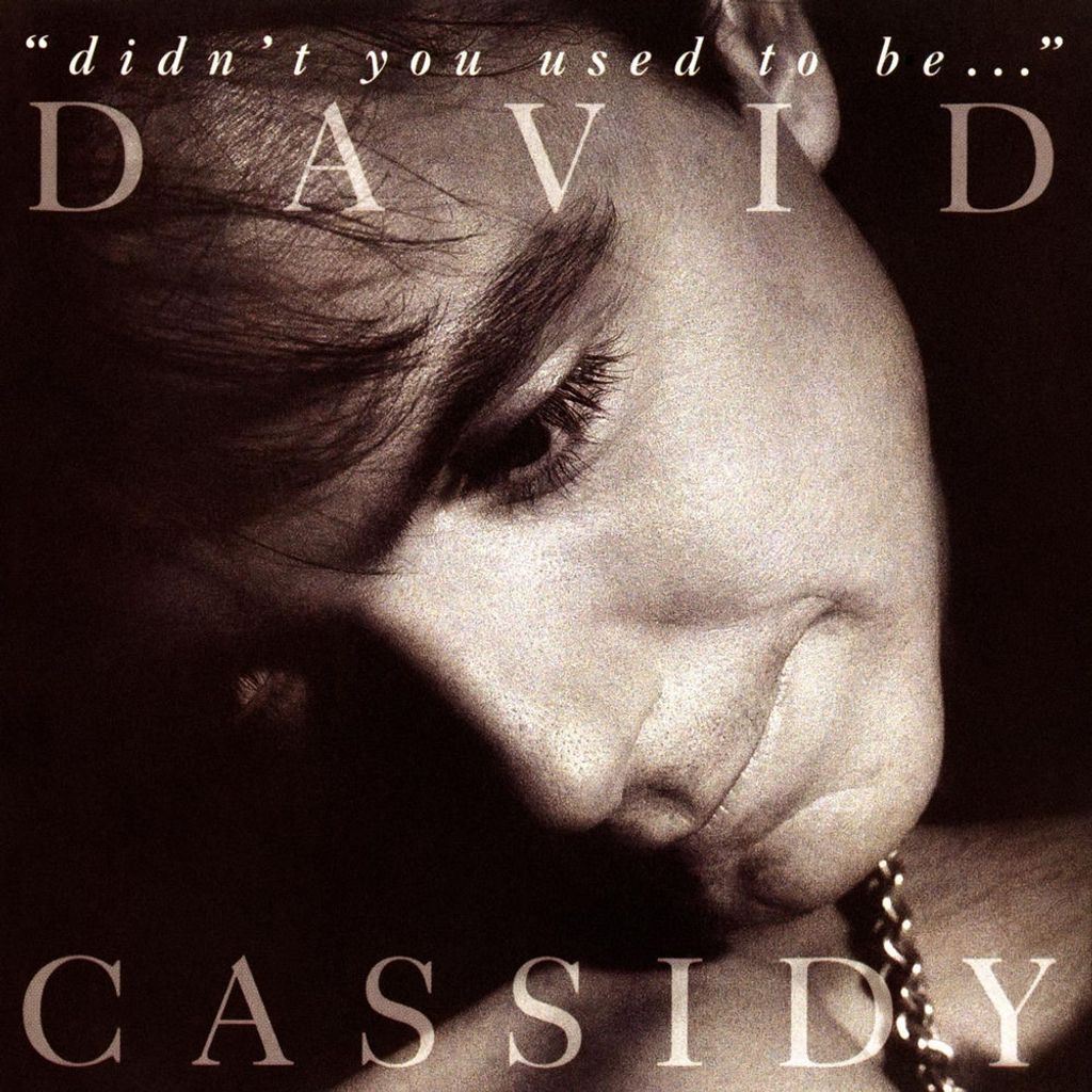 “Didn’t You Used to Be…”