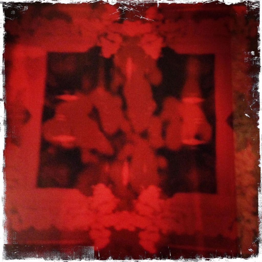 :the light of june dried flowers in your mouth: