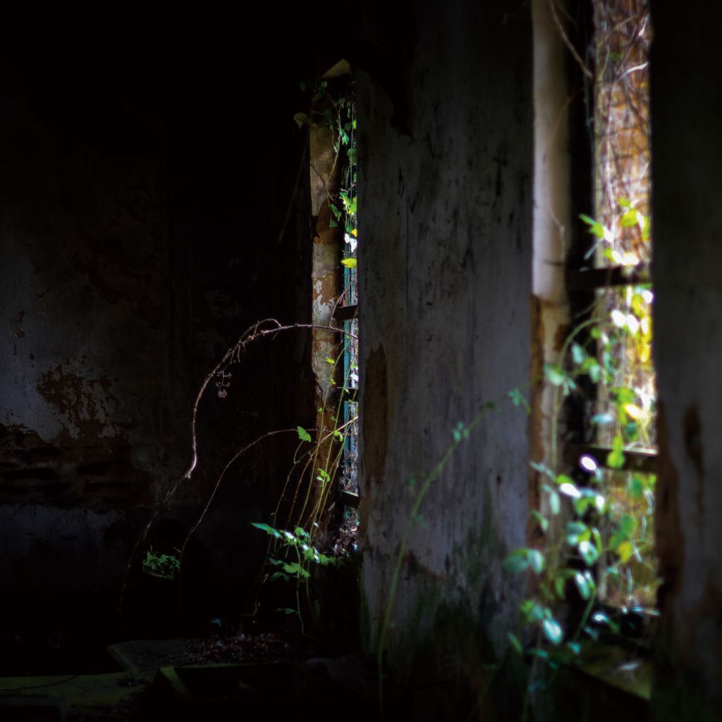 Obscured by Beams of Sorrow