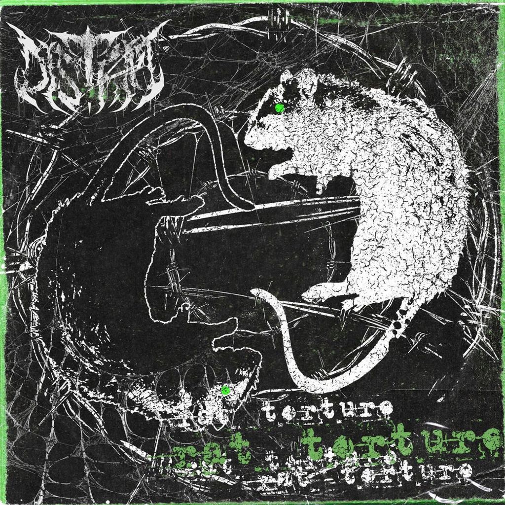 Rat Torture