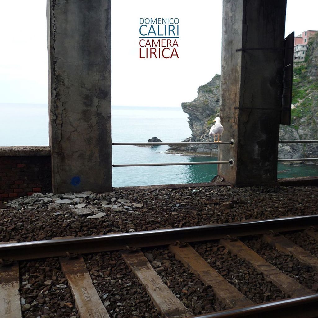 Camera lirica