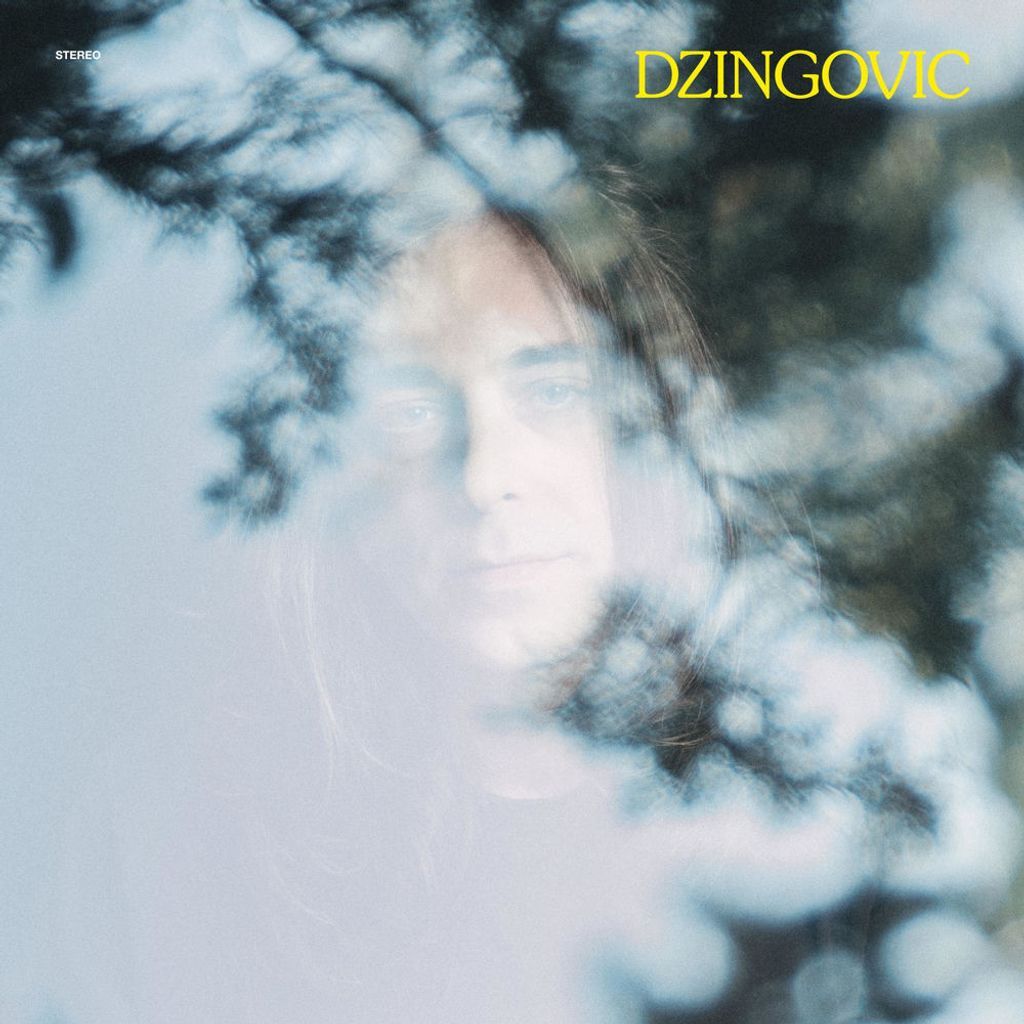DZINGOVIC