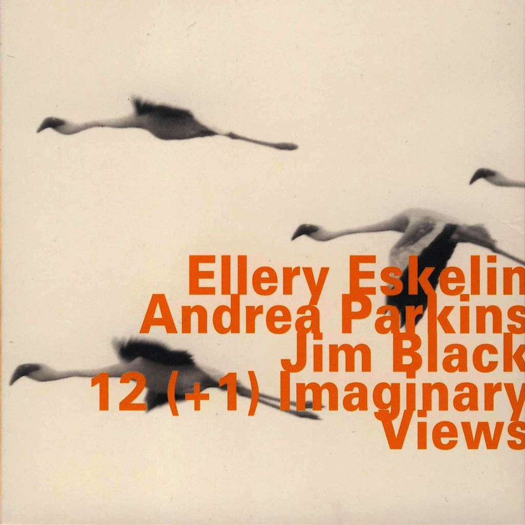 12 (+1) Imaginary Views