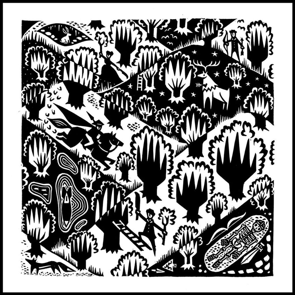 Echoes: Unearthing Stories of the Forest