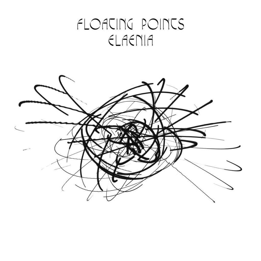 Elaenia