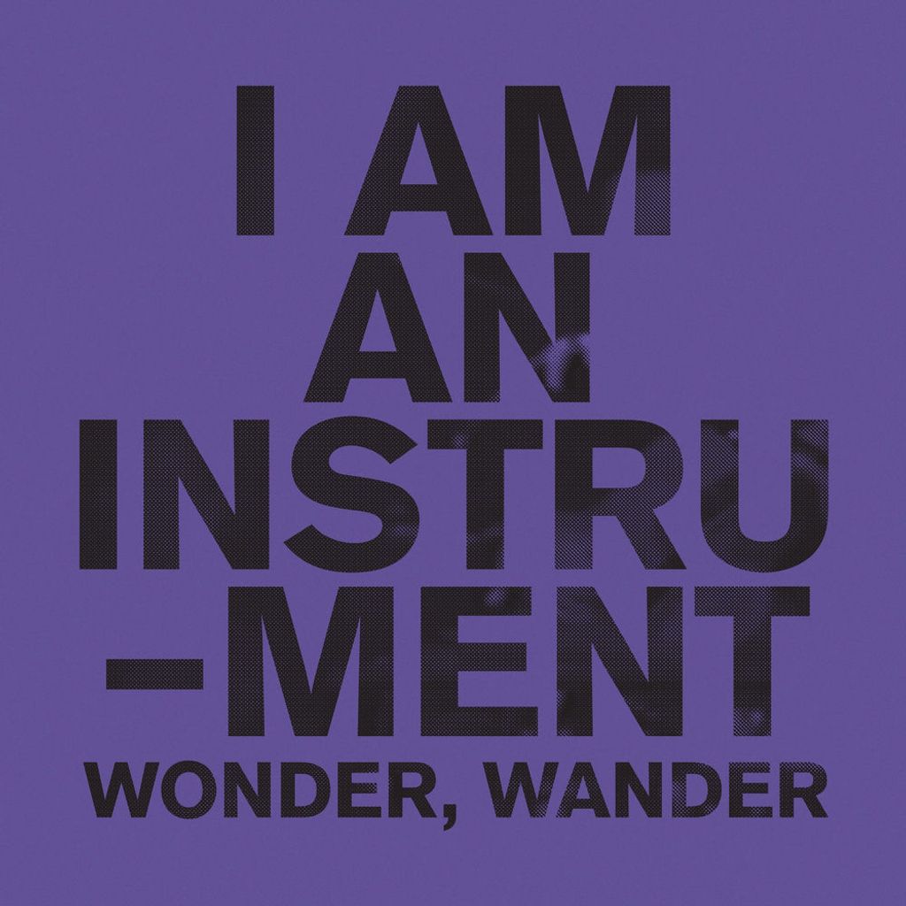 Wonder, Wander