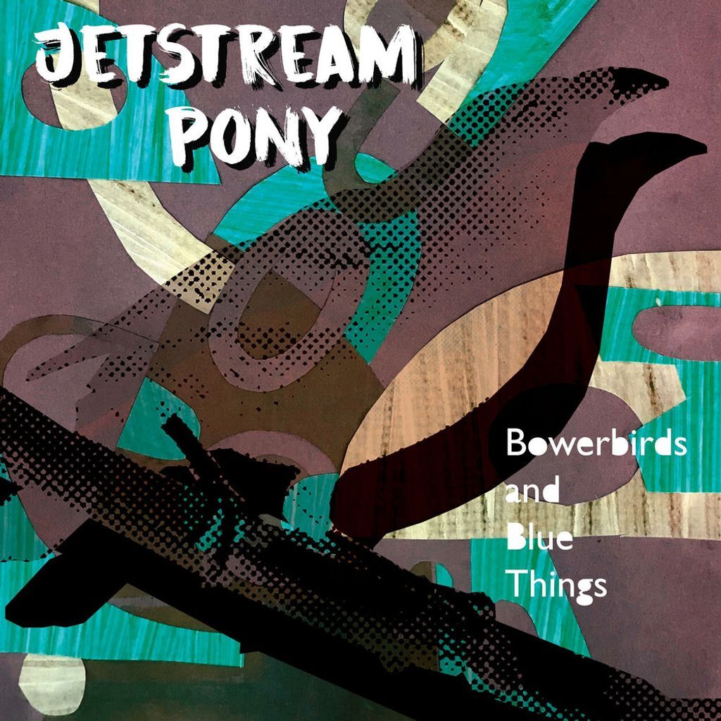 Bowerbirds and Blue Things